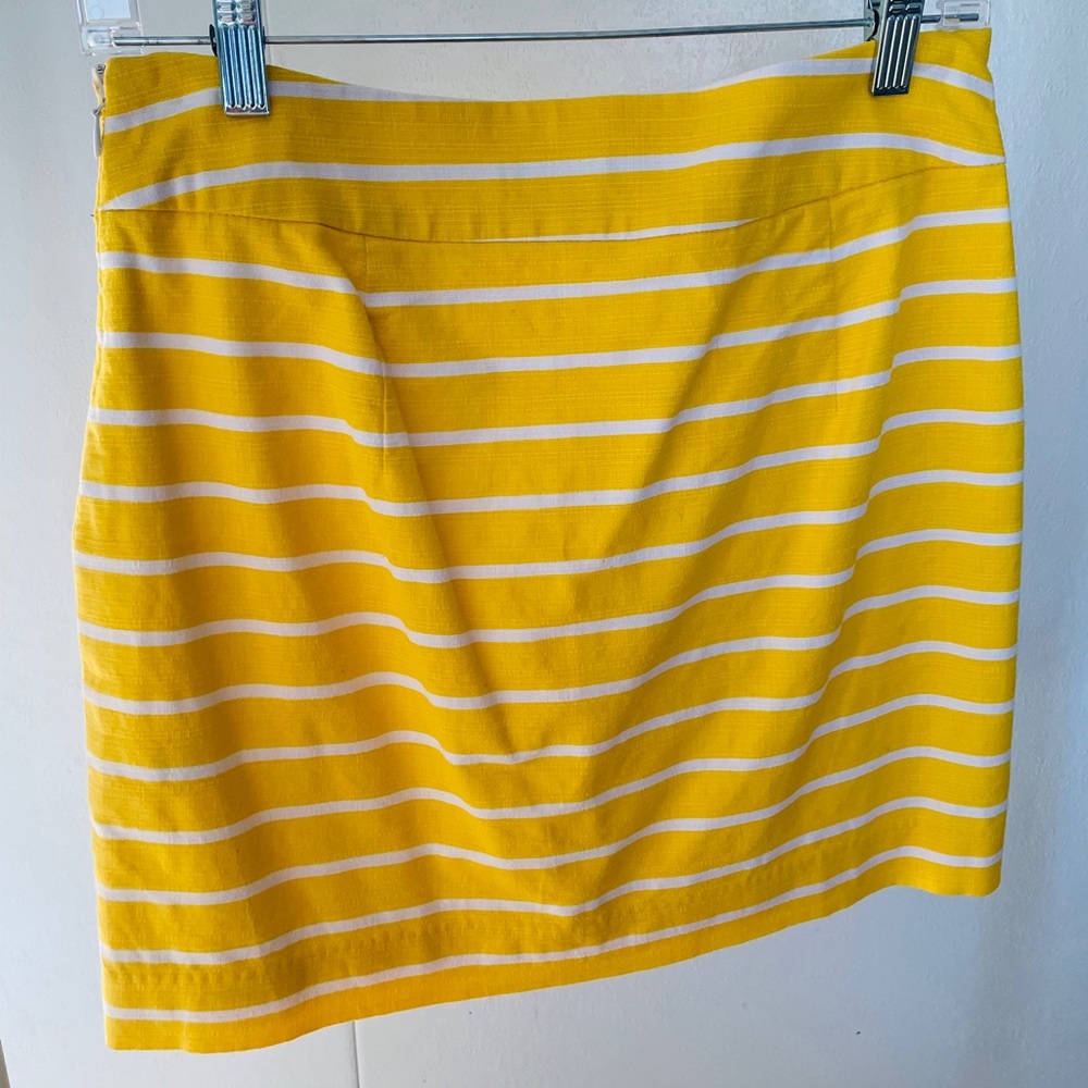 Dressy Skirt